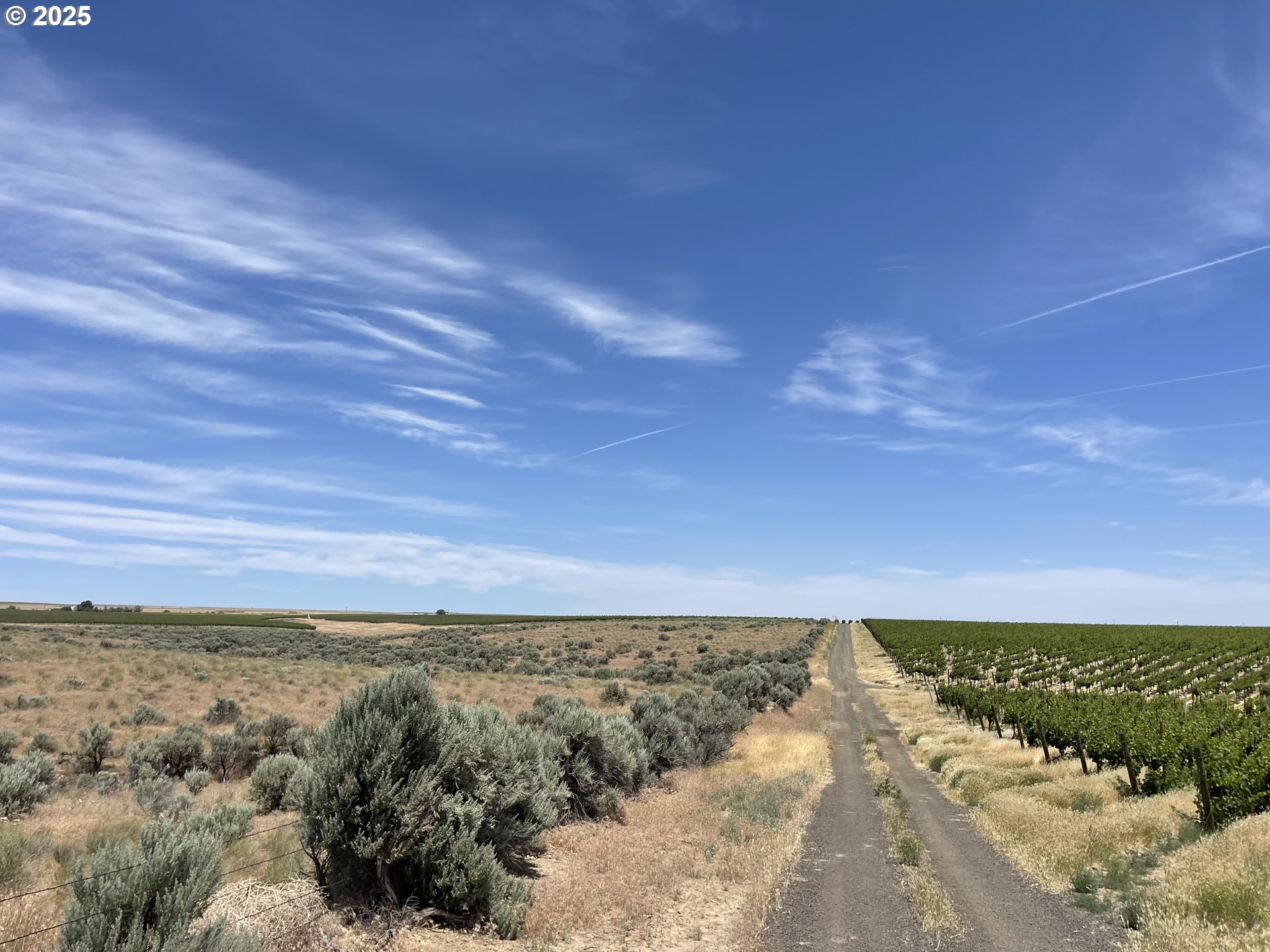 38 Vineyard View Drive Prosser, WA 99350 - Photo 9 of 20 a view of city and mountain