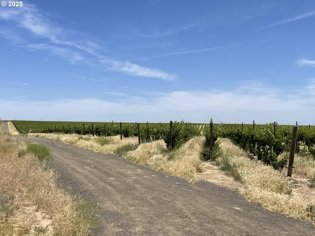 a view of a lake and a mountain