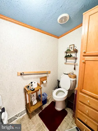a bathroom with a toilet and a shower curtain