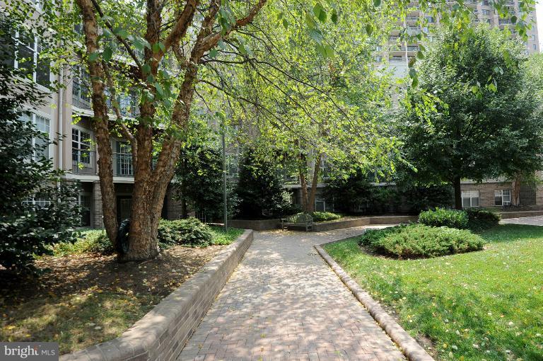 5563 Seminary Road, Unit 406 Falls Church, VA 22041 - Photo 14 of 18 a view of a park with large trees