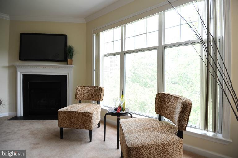 5563 Seminary Road, Unit 406 Falls Church, VA 22041 - Photo 9 of 18 a living room with furniture and a fireplace