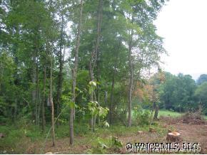 105 Israel Road Candler, NC 28715 - Photo 1 of 4 Gallery Image 1
