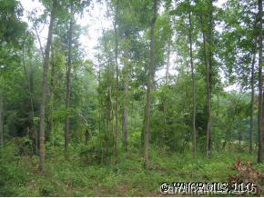 105 Israel Road Candler, NC 28715 - Photo 3 of 4 Gallery Image 3