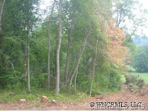 105 Israel Road Candler, NC 28715 - Photo 4 of 4 Gallery Image 4
