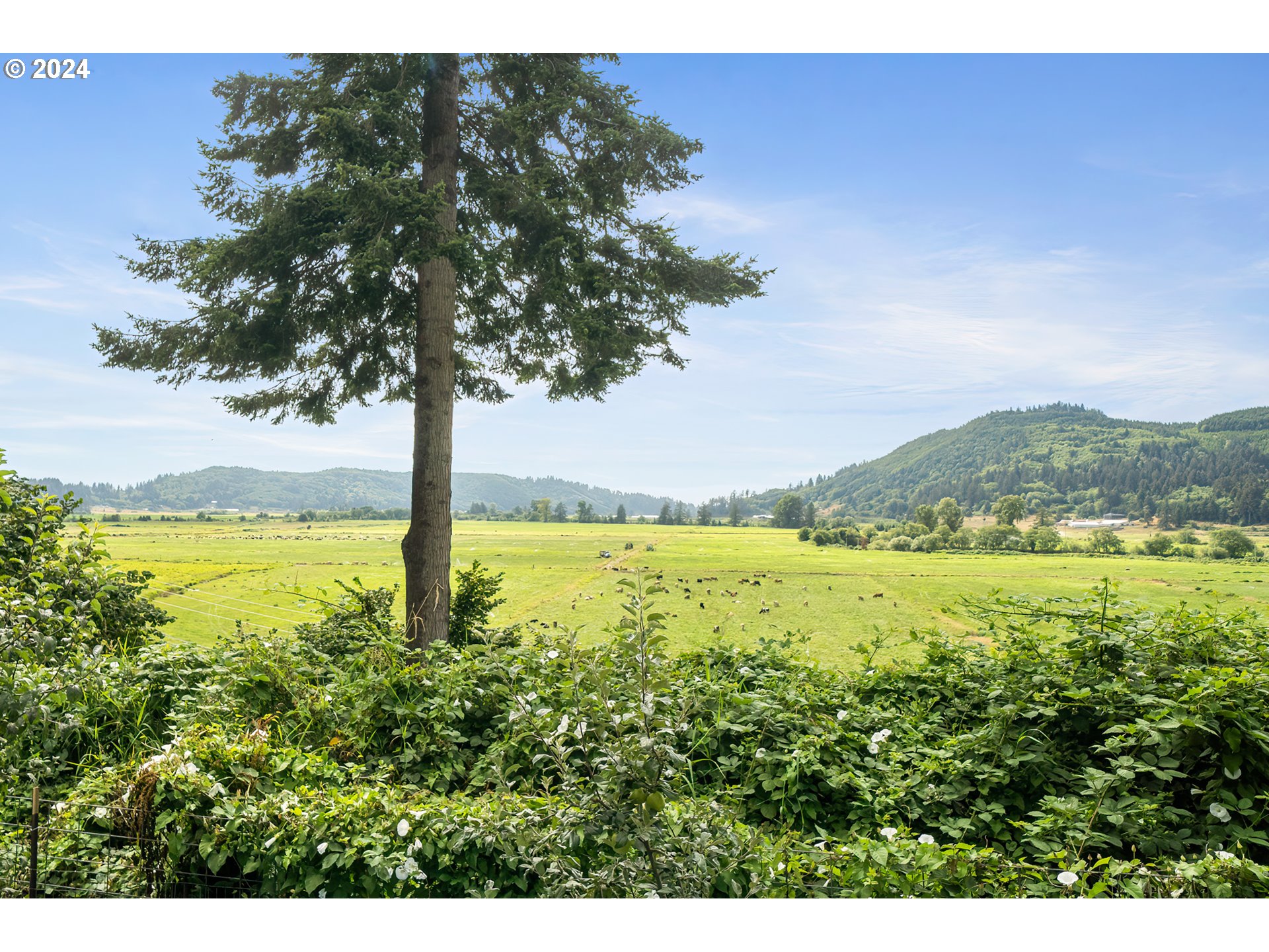 12905 Mill Road Cloverdale, OR 97112 - Photo 3 of 28 Gallery Image 3