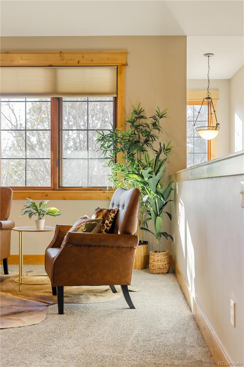 31276 Stone Canyon Road, Unit 76201 Evergreen, CO 80439 - Photo 10 of 40