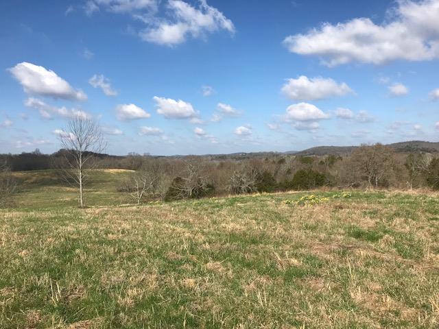 14 Cedar Bluff Road Hartsville, TN 37074 - Photo 1 of 6 Gallery Image 1