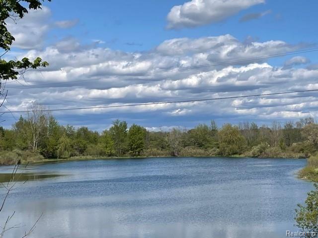 7085 Dutch Road Goodrich, MI 48438 - Photo 8 of 13