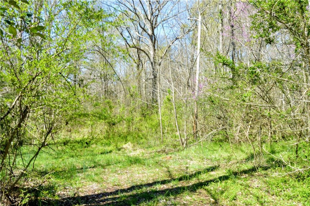 1705 Mebane Oaks Road Mebane, NC 27302 - Photo 29 of 32 Gallery Image 29