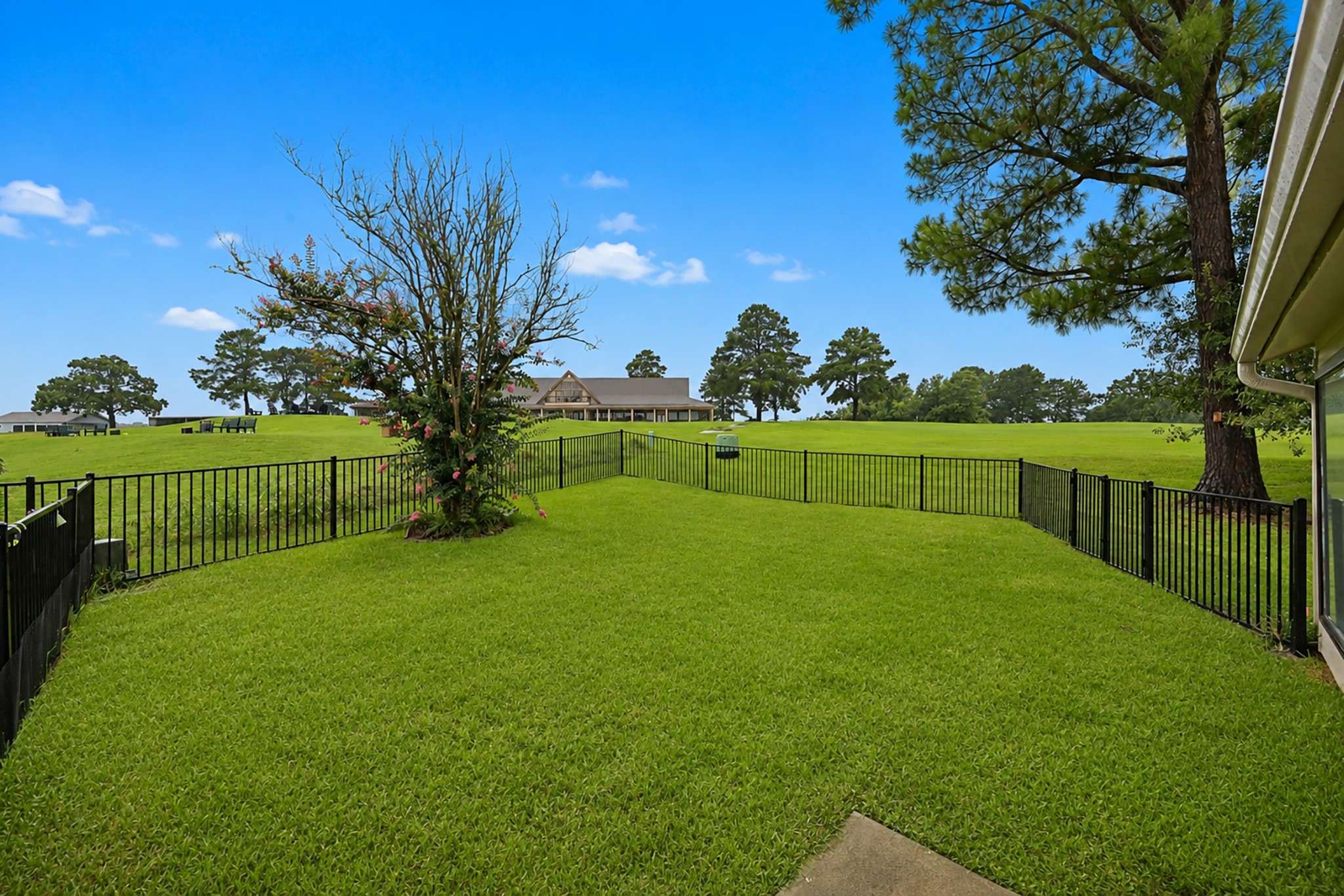 41 Driving Range Lane Trinity, TX 75862 - Photo 6 of 21 Back Yard surrounded by golf.