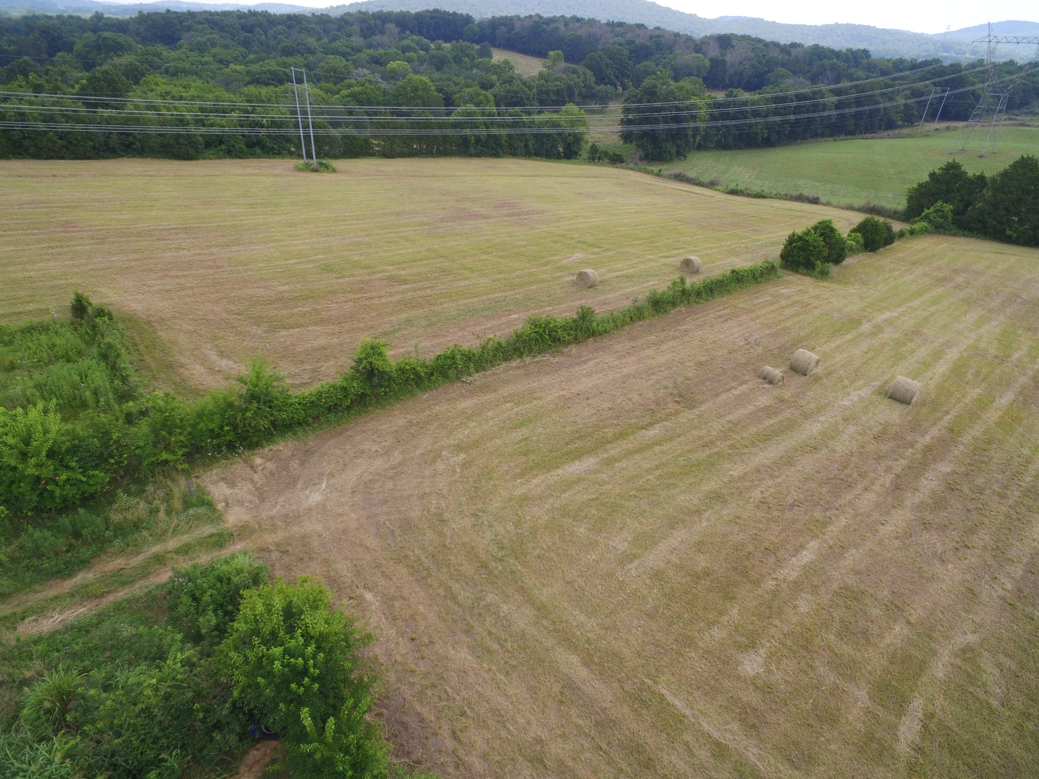 1387 Young Road Lebanon, TN 37090 - Photo 14 of 74