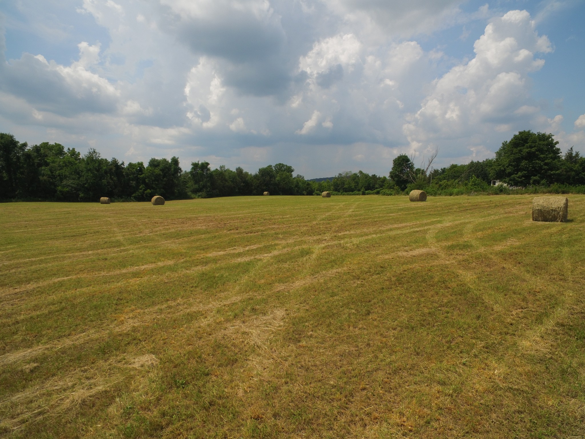 1387 Young Road Lebanon, TN 37090 - Photo 36 of 74