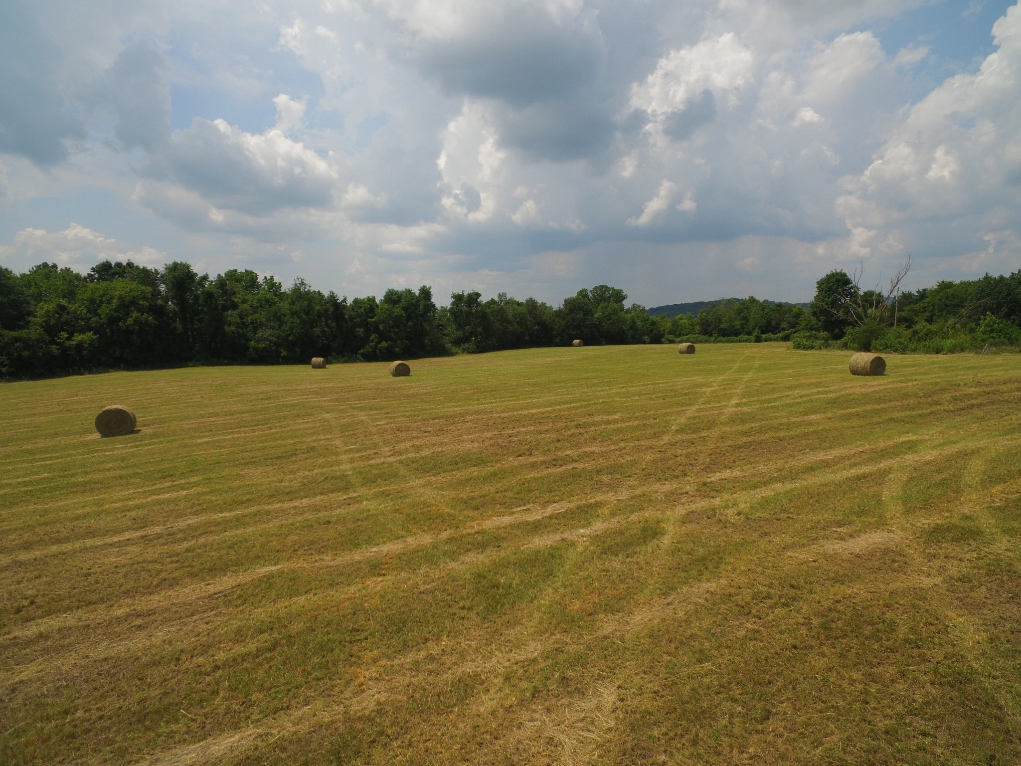 1387 Young Road Lebanon, TN 37090 - Photo 38 of 74