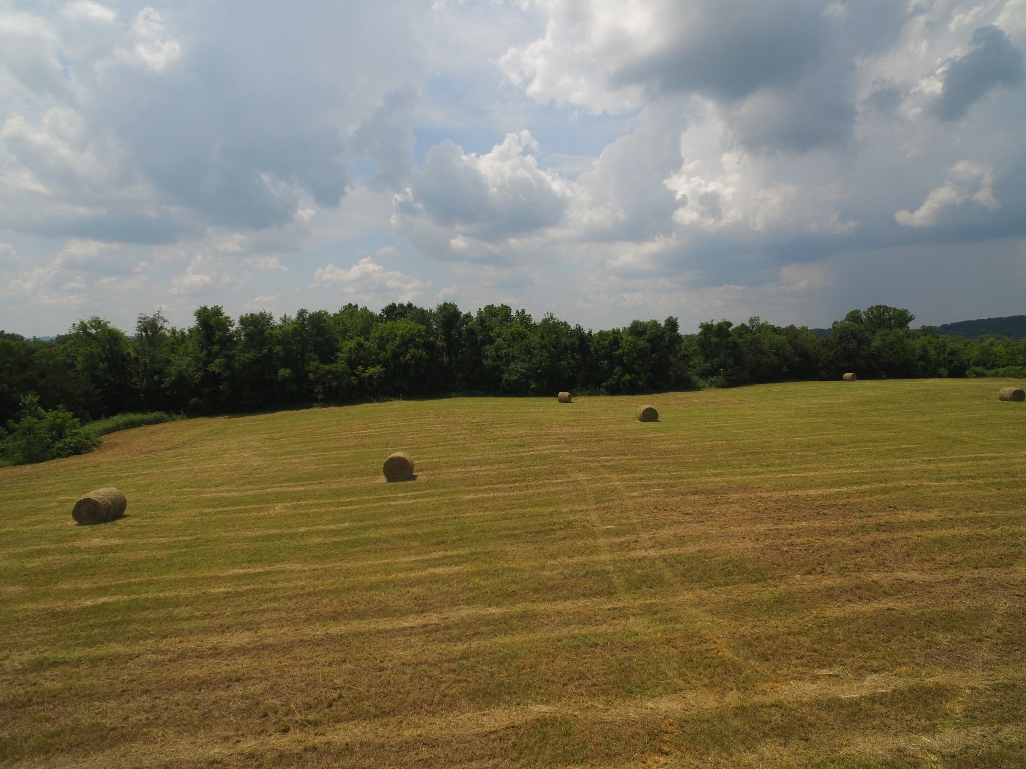 1387 Young Road Lebanon, TN 37090 - Photo 43 of 74