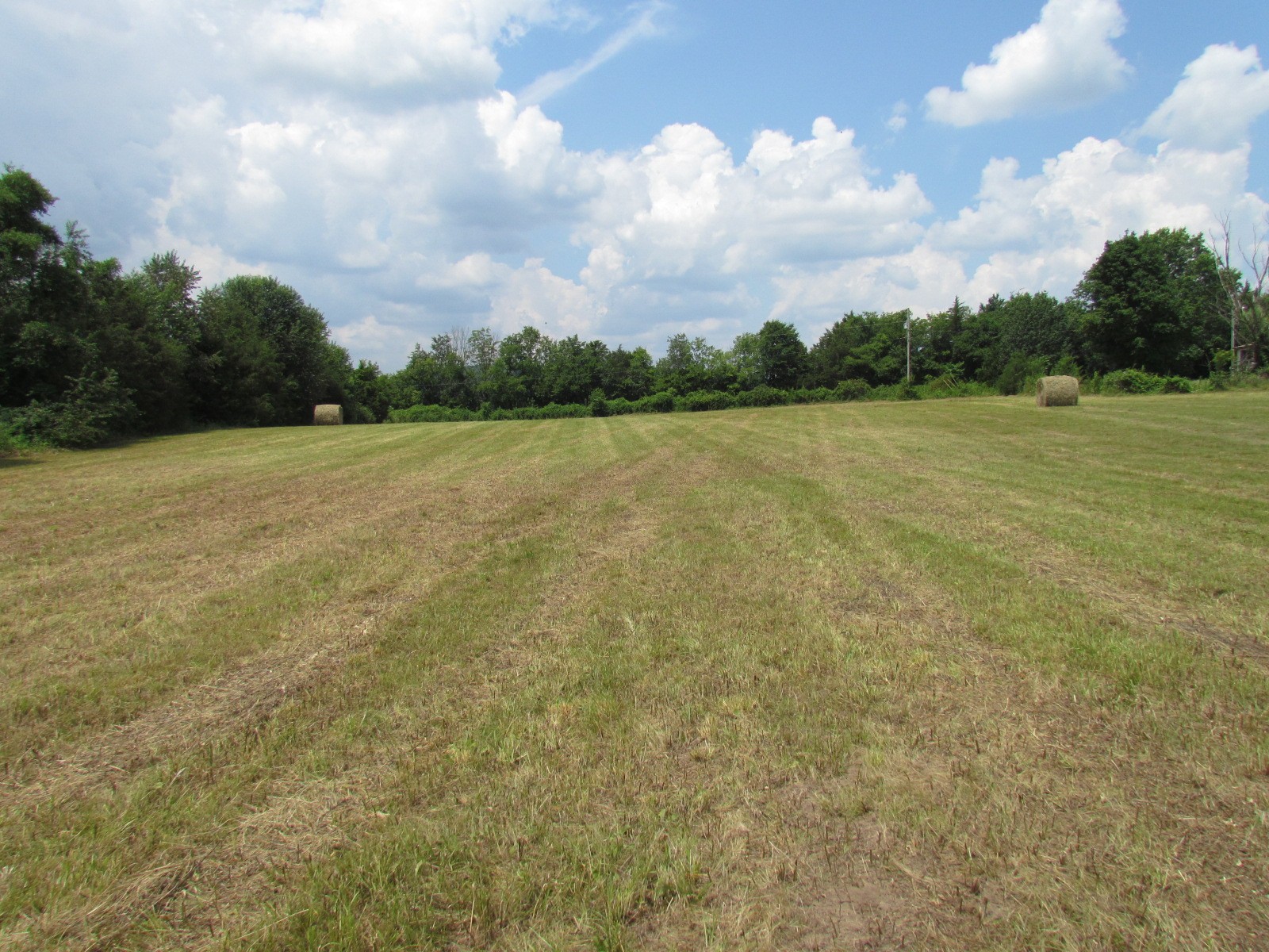 1387 Young Road Lebanon, TN 37090 - Photo 64 of 74