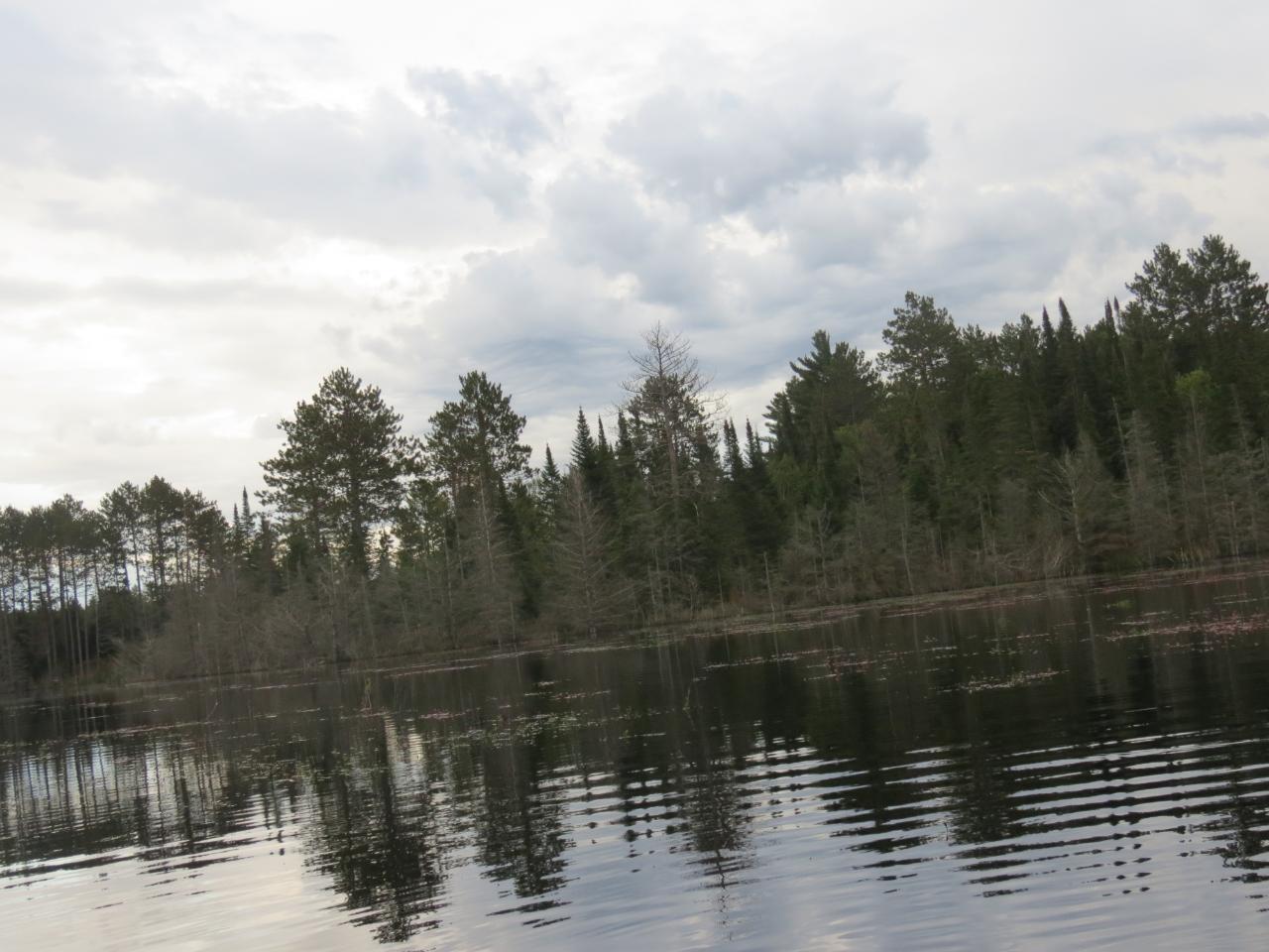 Off Rueckert Road Rhinelander, WI 54501 - Photo 5 of 8 Gallery Image 5