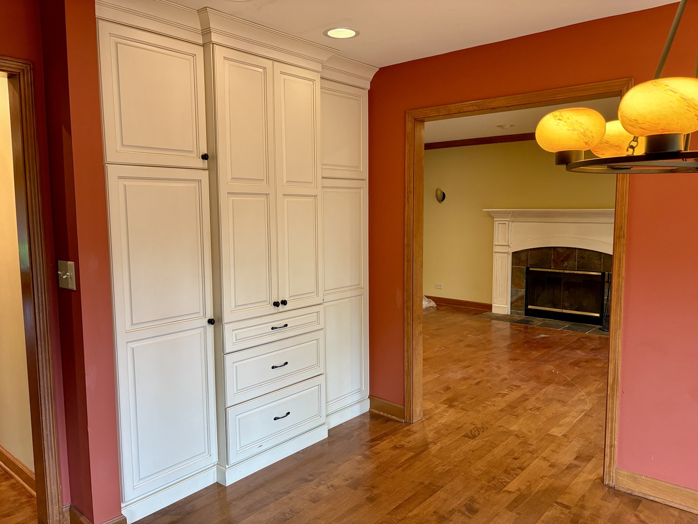 244 Knoll Street Wheaton, IL 60187 - Photo 7 of 26