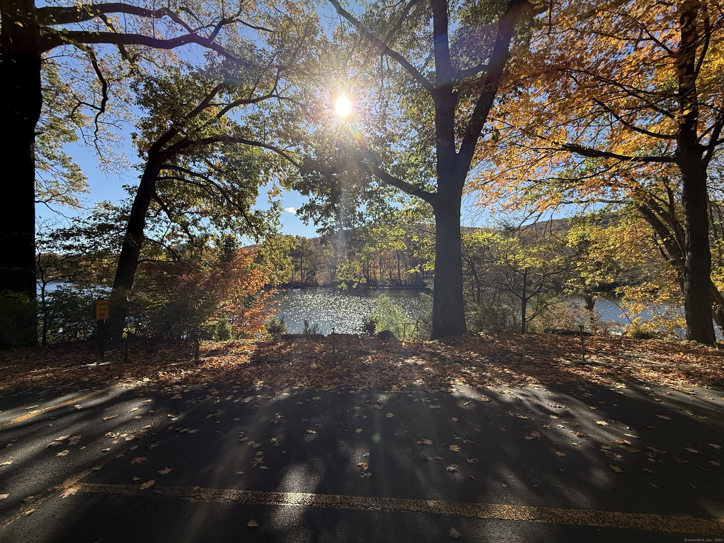 11 Bogus Hill Road New Fairfield, CT 06812 - Photo 14 of 15 a backyard of a house with lots of green space