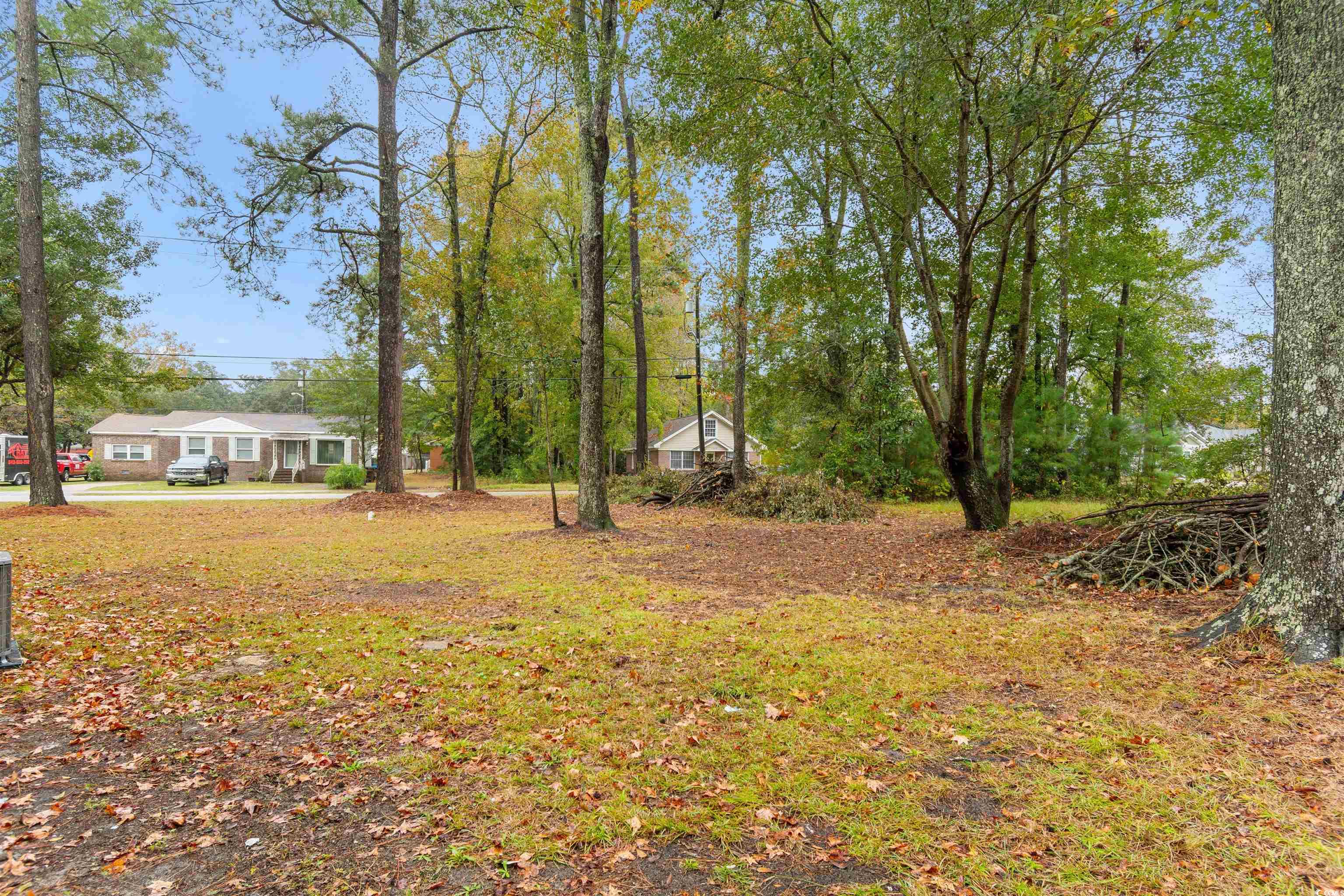 903 Durant Street Conway, SC 29527 - Photo 30 of 36