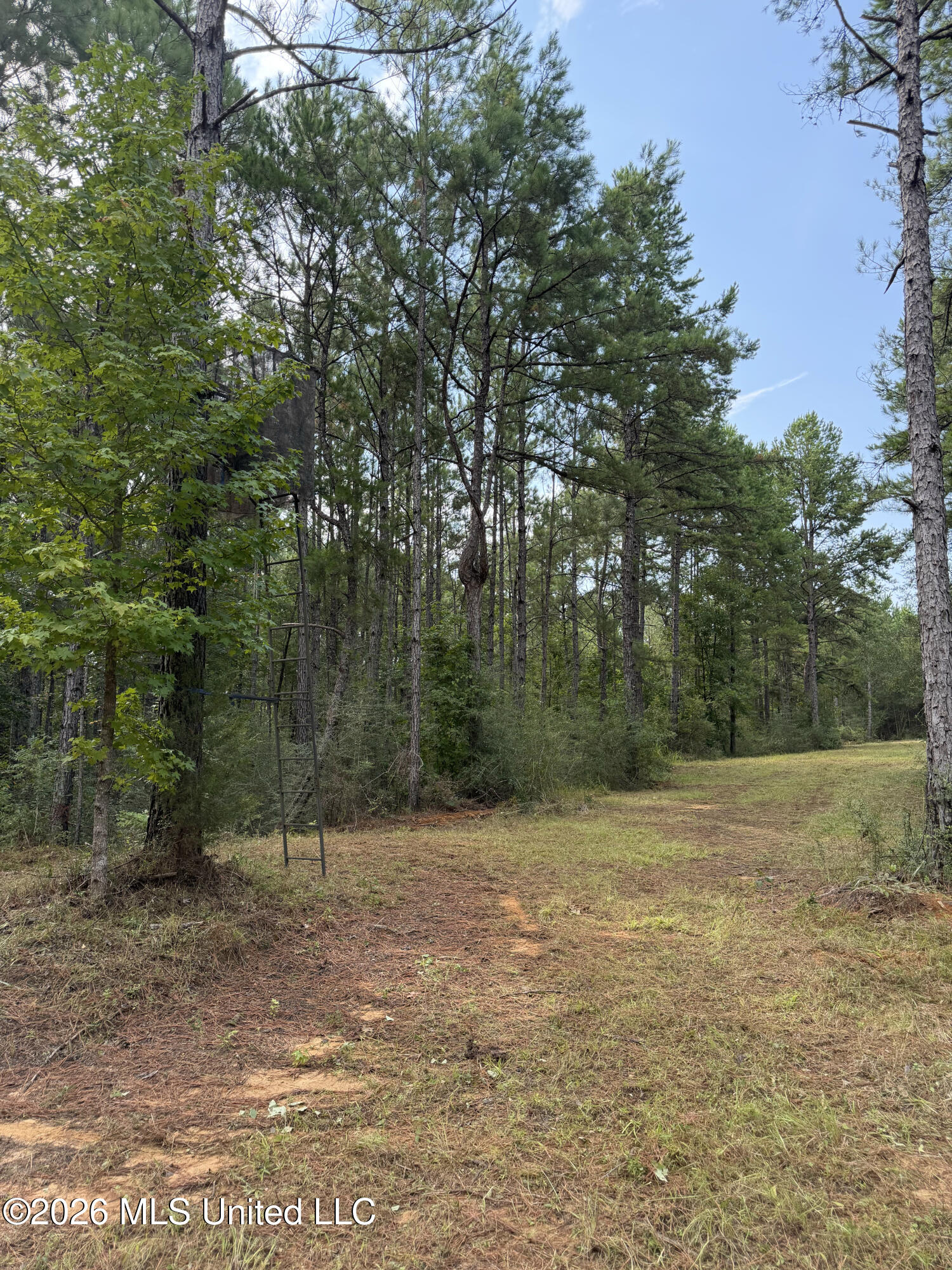 Jerusalem Road Liberty, MS 39645 - Photo 20 of 93 IMG_3142