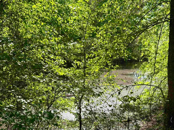$439,900 | 3010 Powell Chapel Road, Middleton, TN 38052