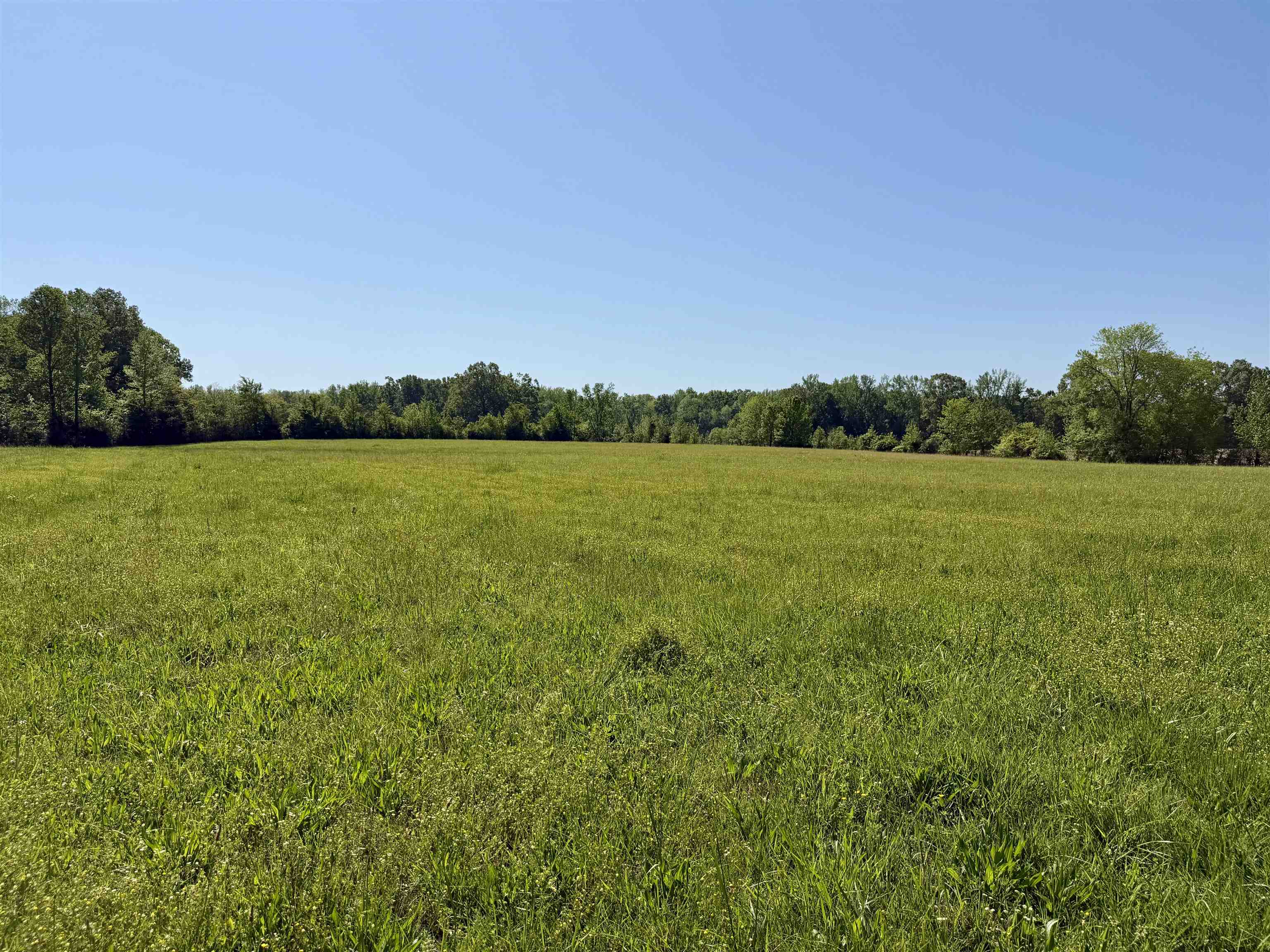 3010 Powell Chapel Road Middleton, TN 38052 - Photo 27 of 28 a view of an ocean and a mountain