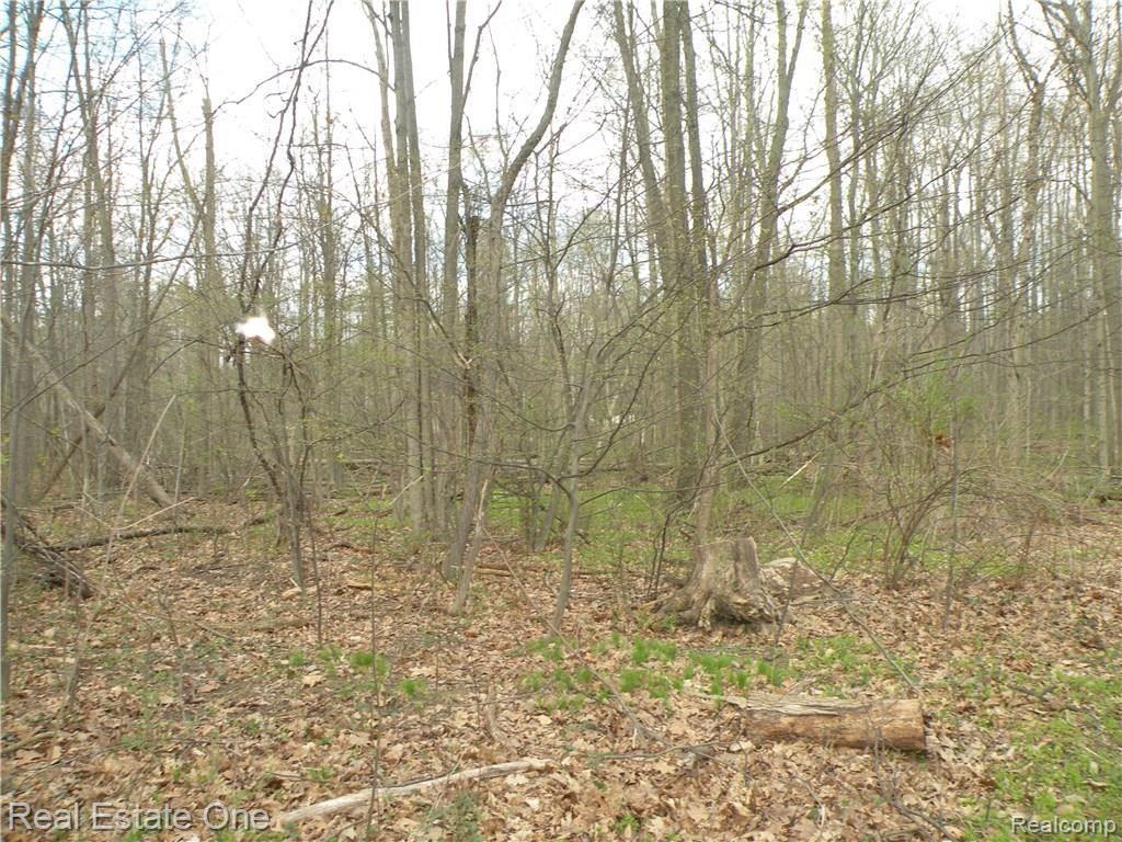 0 Mccormick Road Lapeer, MI 48446 - Photo 18 of 19