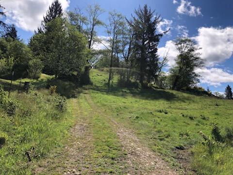 201 Hodgdon Road Tillamook, OR 97141 - Photo 14 of 33 IMG_7848