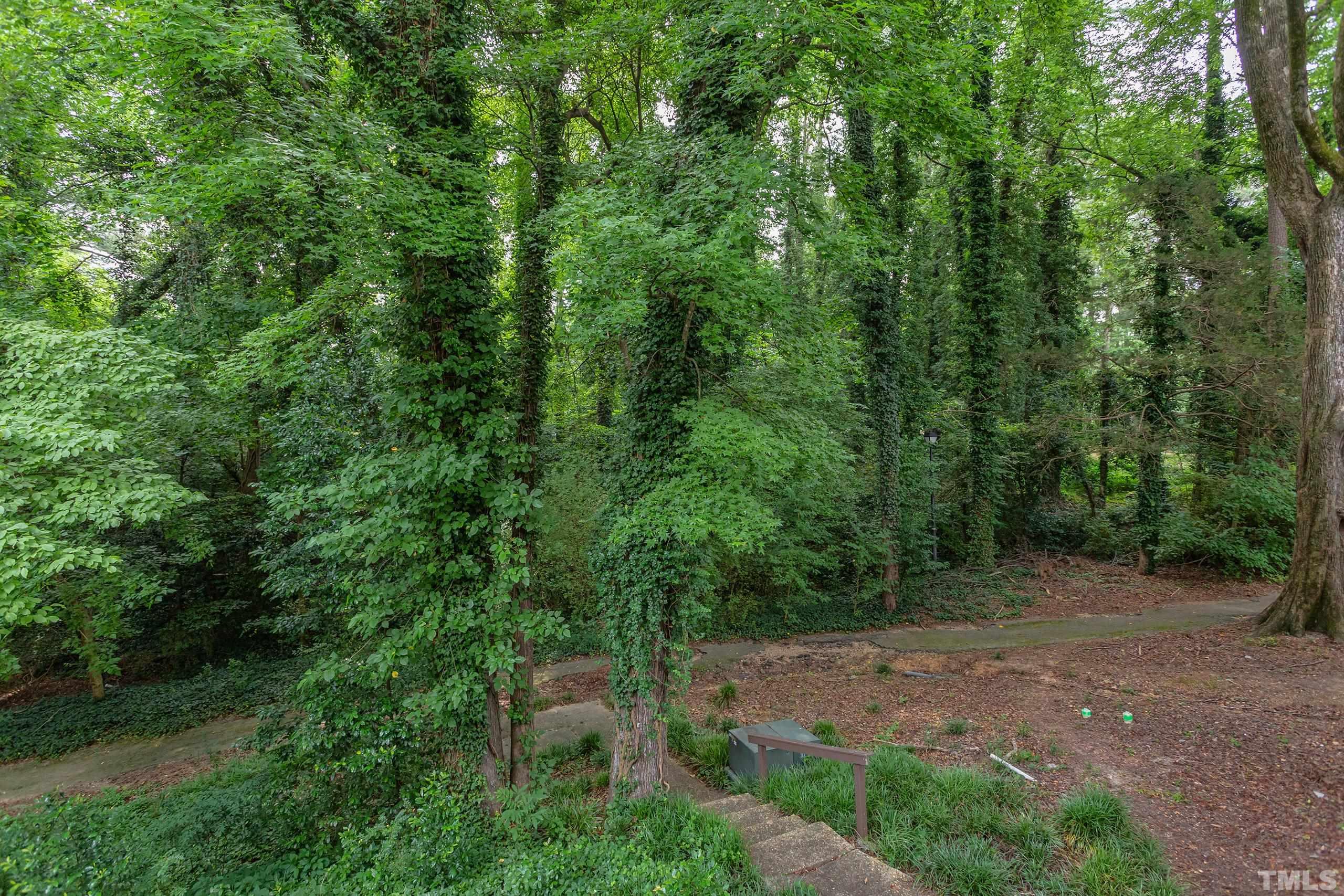 5060 Flint Ridge Place, Unit 5060 Raleigh, NC 27609 - Photo 25 of 29 a view of a forest with trees in the background