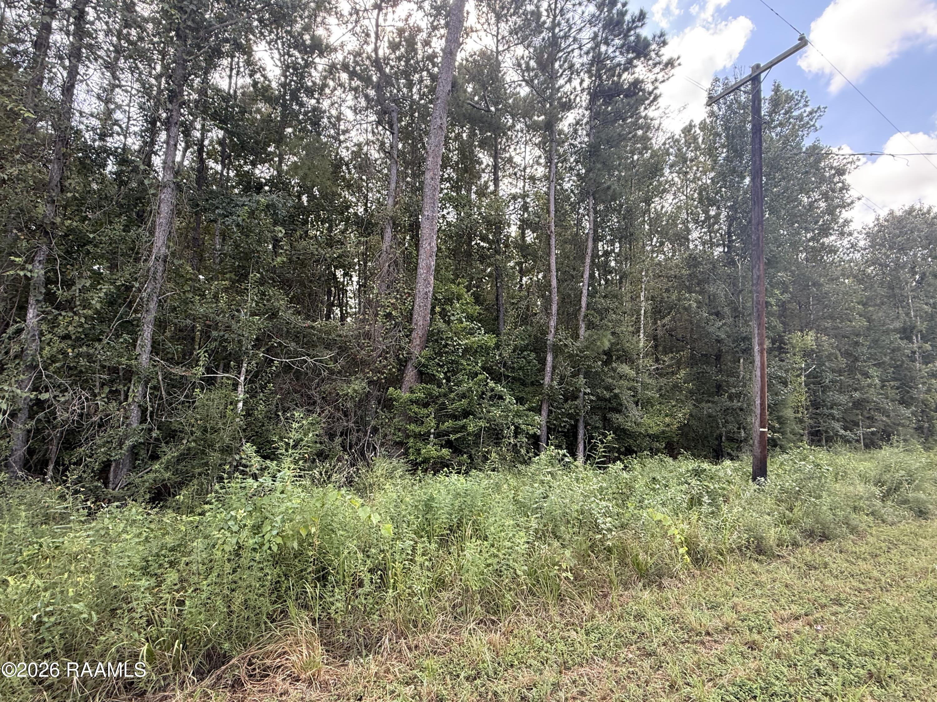 Leman Rd Ville Oakdale, LA 71463 - Photo 1 of 1 IMG_1654