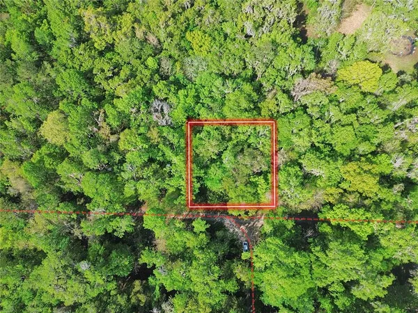 $22,000 | Tbd Southeast 41st Terrace, Belleview, FL 34420