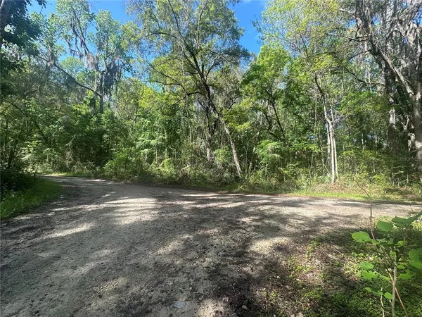 $22,000 | Tbd Southeast 41st Terrace, Belleview, FL 34420