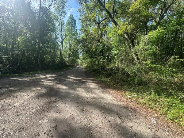 $22,000 | Tbd Southeast 41st Terrace, Belleview, FL 34420