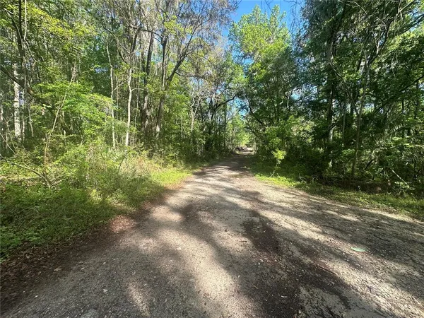 $22,000 | Tbd Southeast 41st Terrace, Belleview, FL 34420