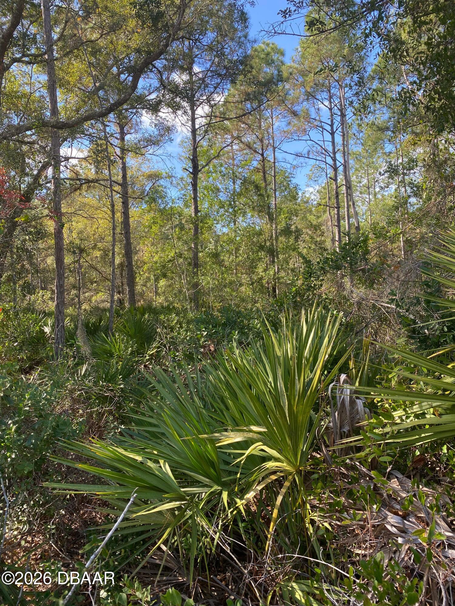 820 Old Bubbly Road Pierson, FL 32180 - Photo 1 of 6 a view of a garden
