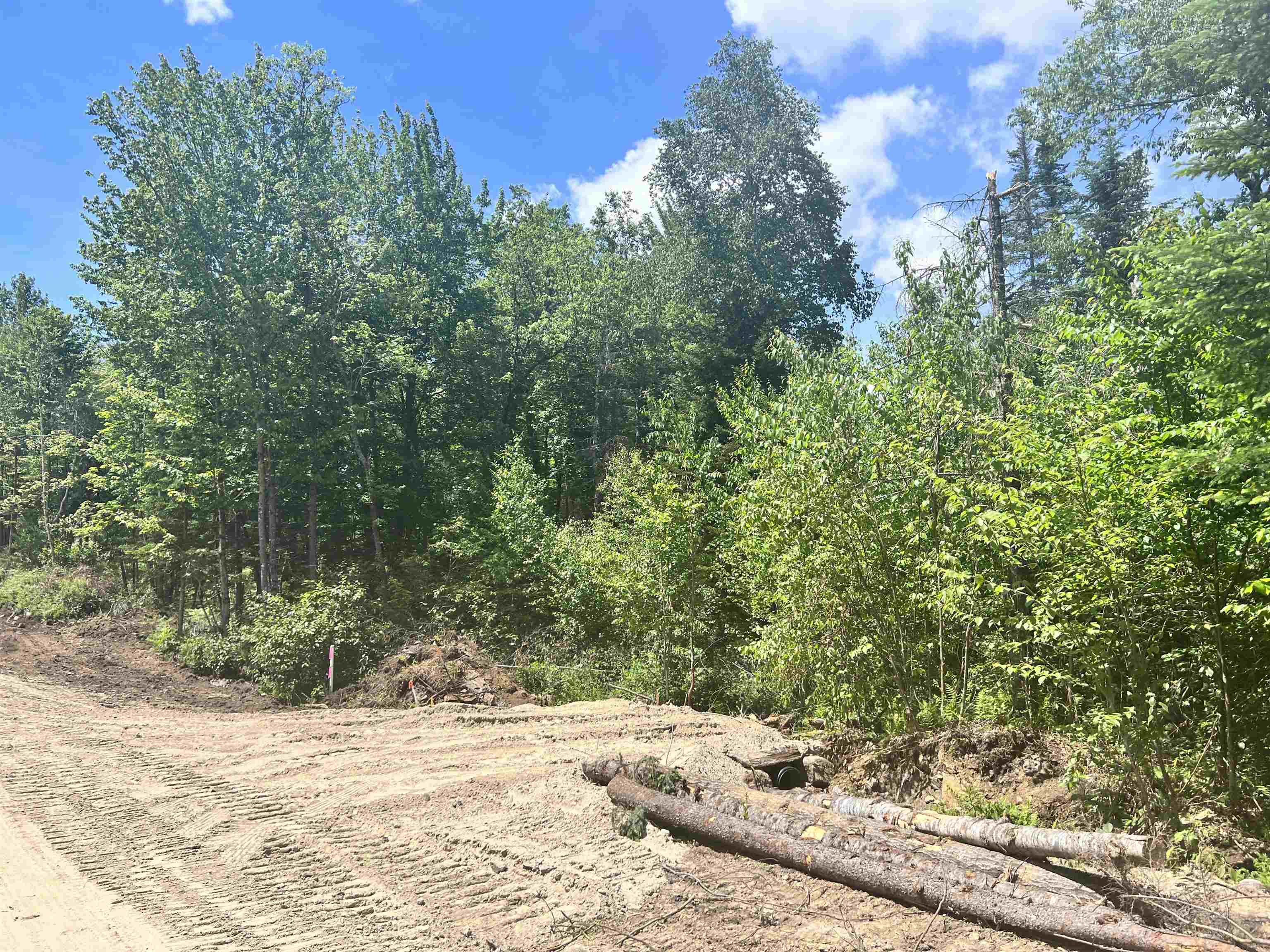 Lot 3 Steiss Road Milan, NH 03588 - Photo 1 of 10