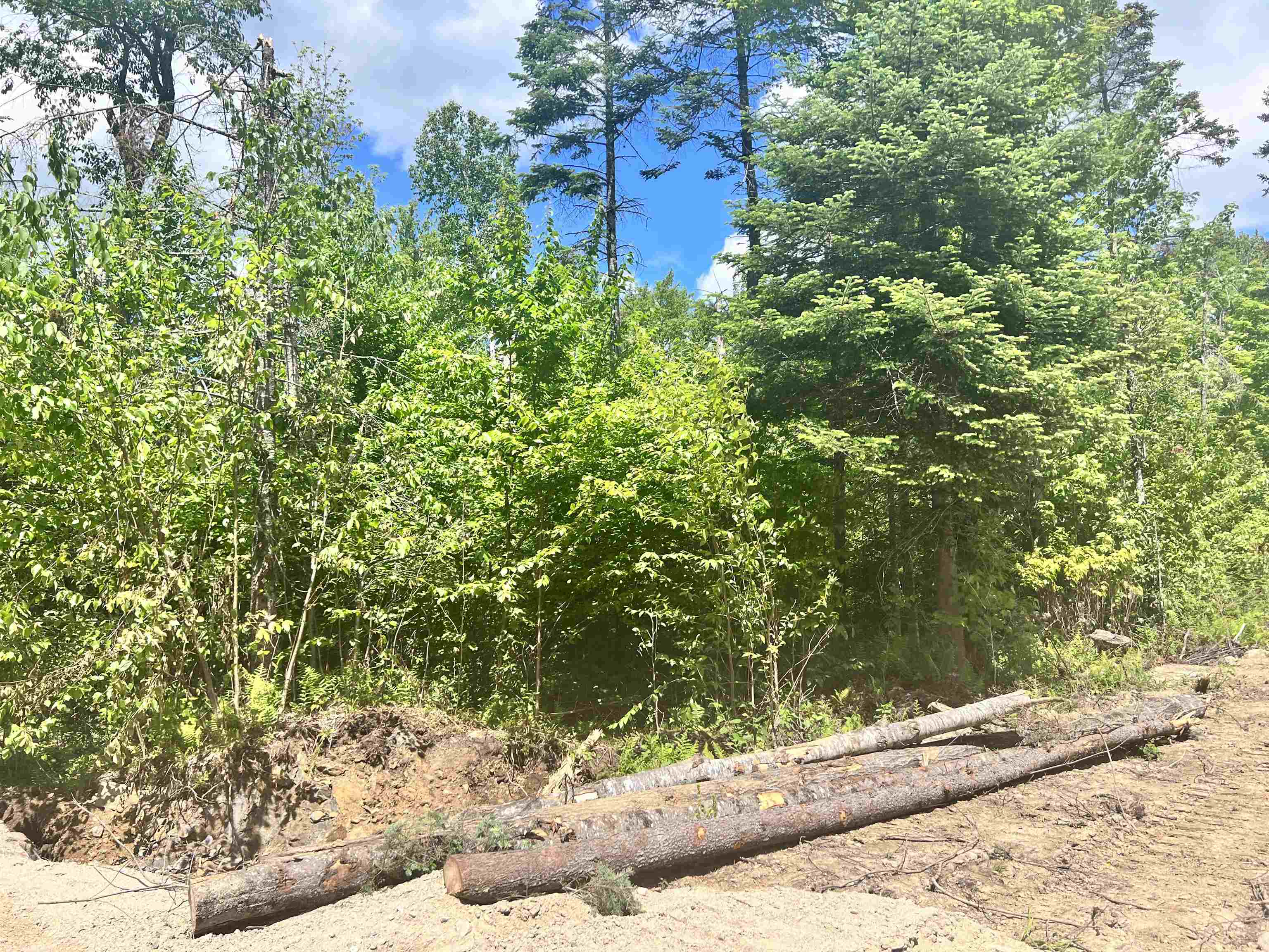 Lot 3 Steiss Road Milan, NH 03588 - Photo 2 of 10