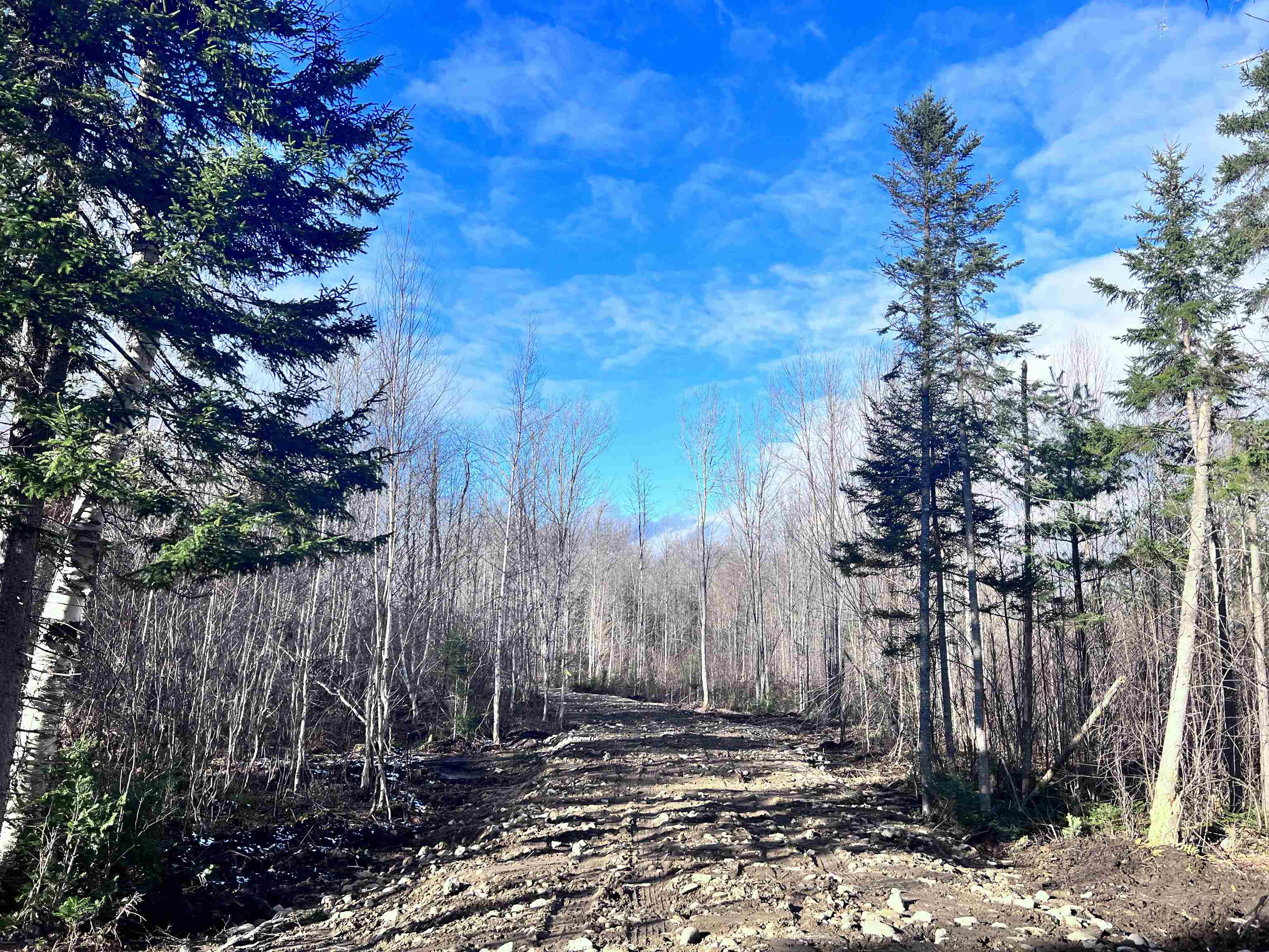 Lot 3 Steiss Road Milan, NH 03588 - Photo 4 of 10