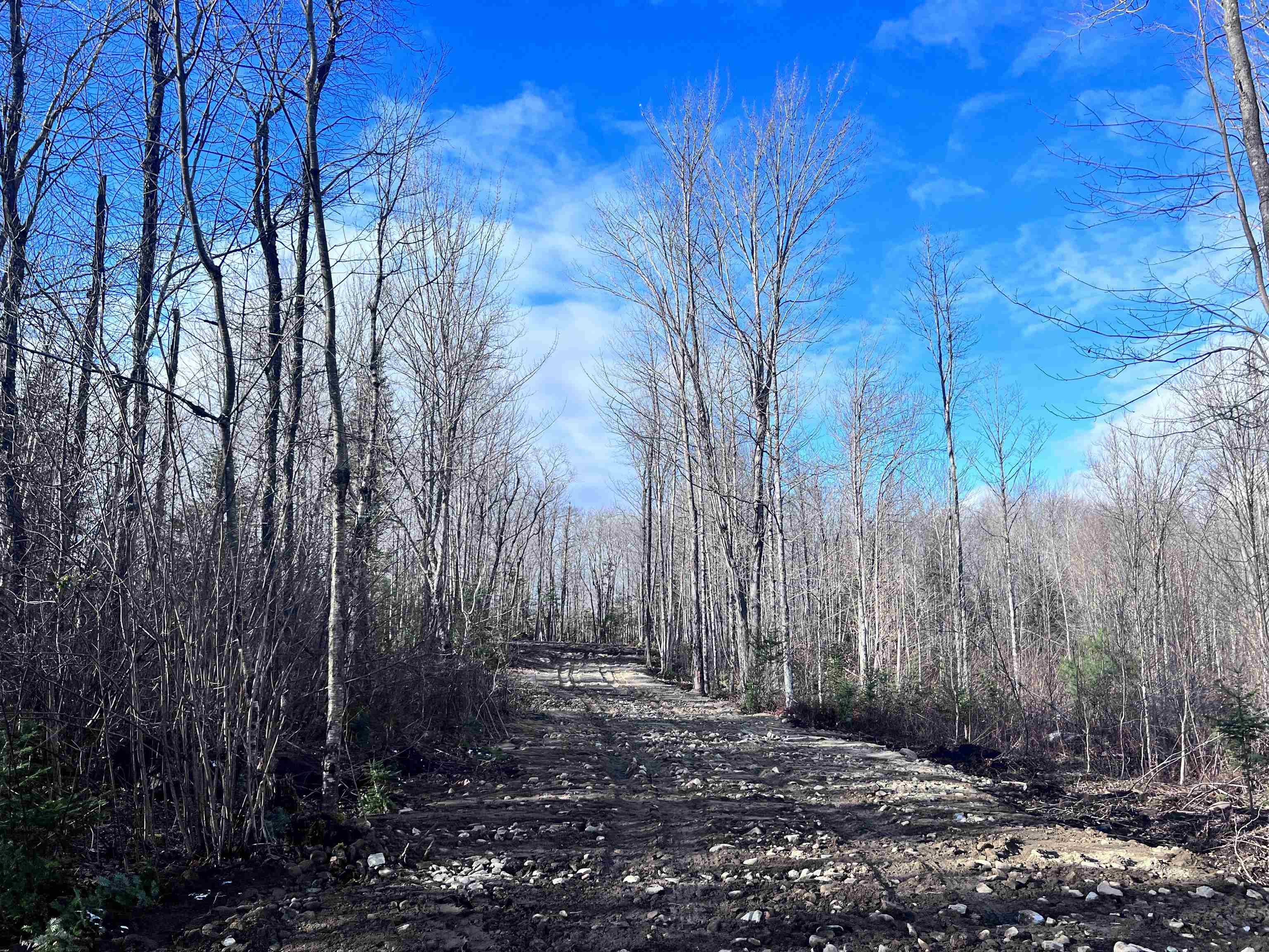 Lot 3 Steiss Road Milan, NH 03588 - Photo 5 of 10