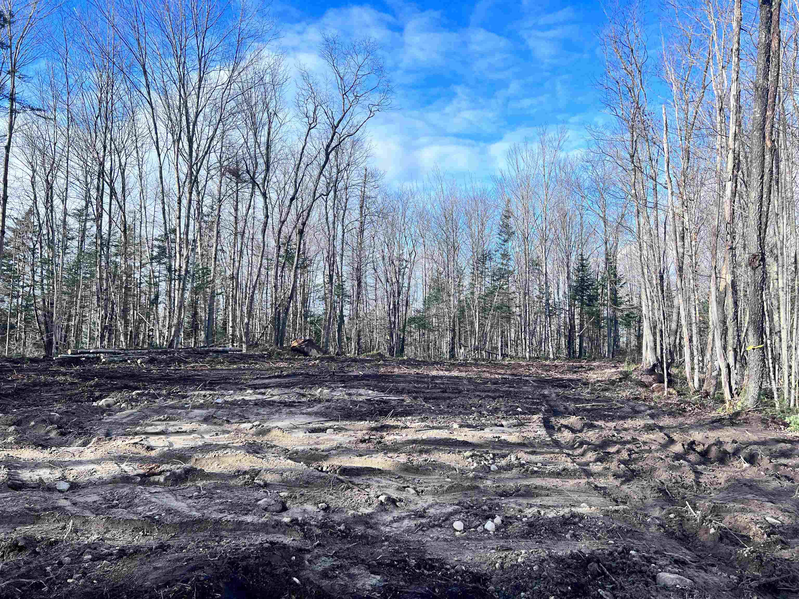 Lot 3 Steiss Road Milan, NH 03588 - Photo 6 of 10