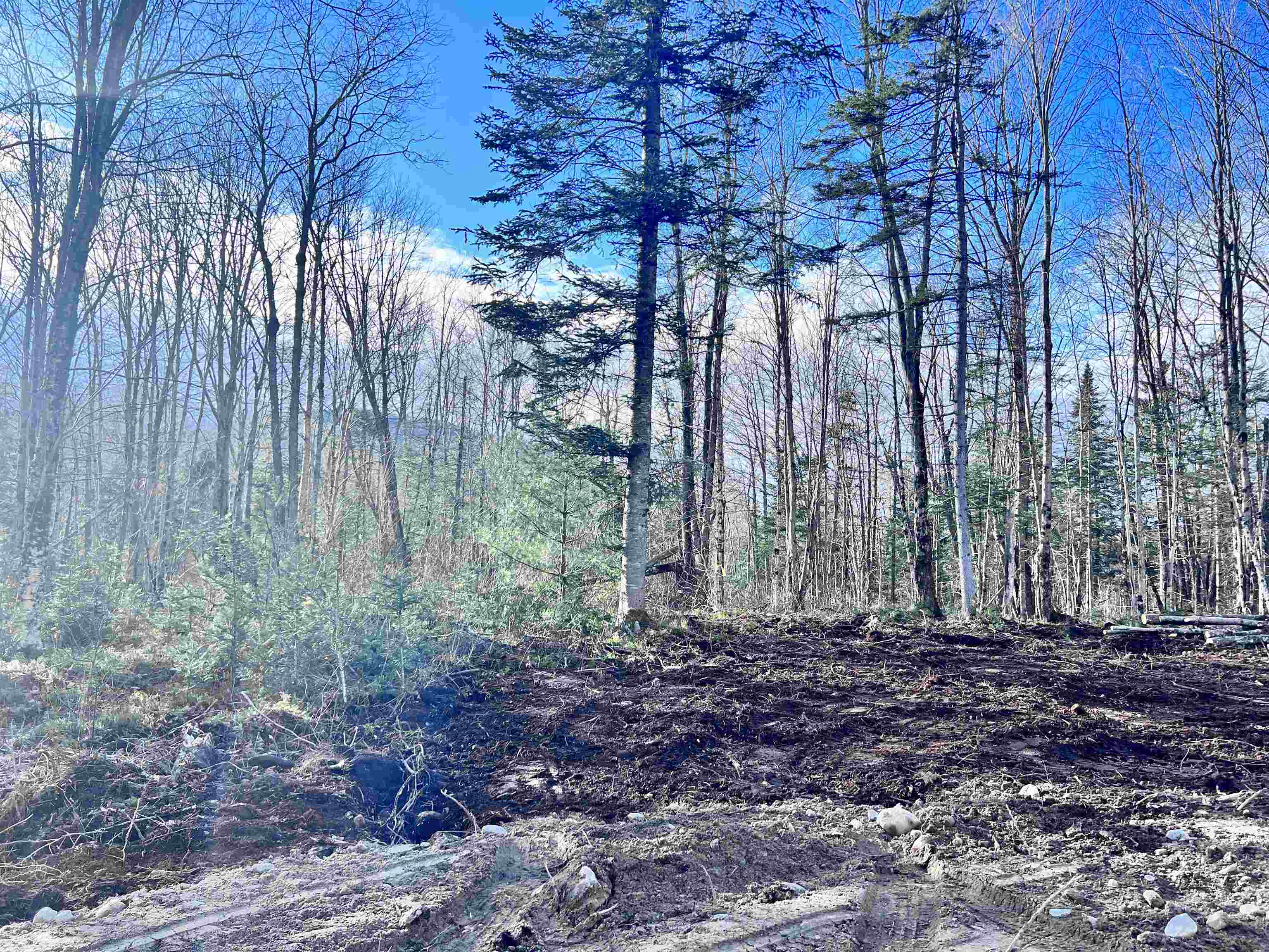 Lot 3 Steiss Road Milan, NH 03588 - Photo 7 of 10