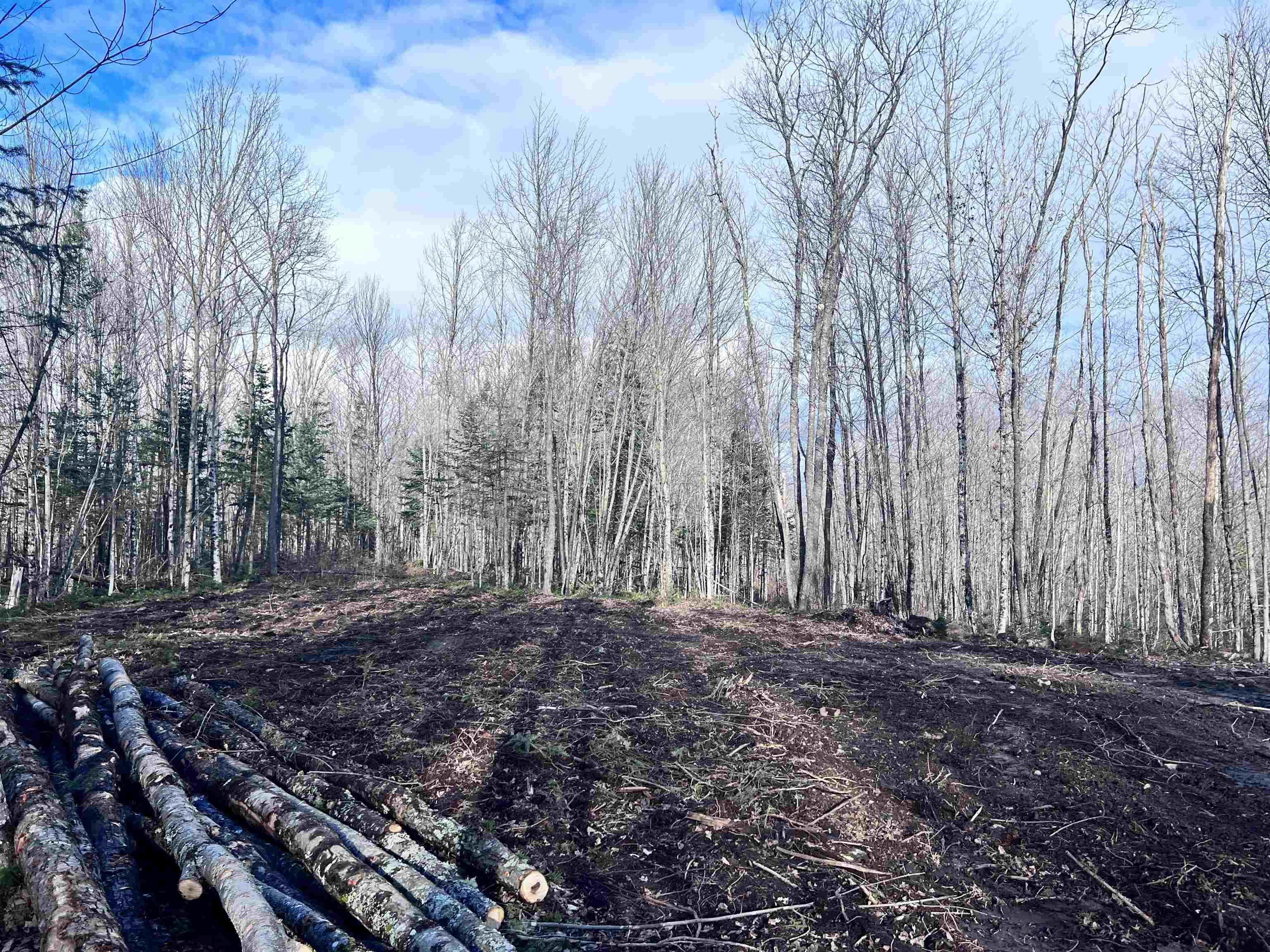 Lot 3 Steiss Road Milan, NH 03588 - Photo 8 of 10