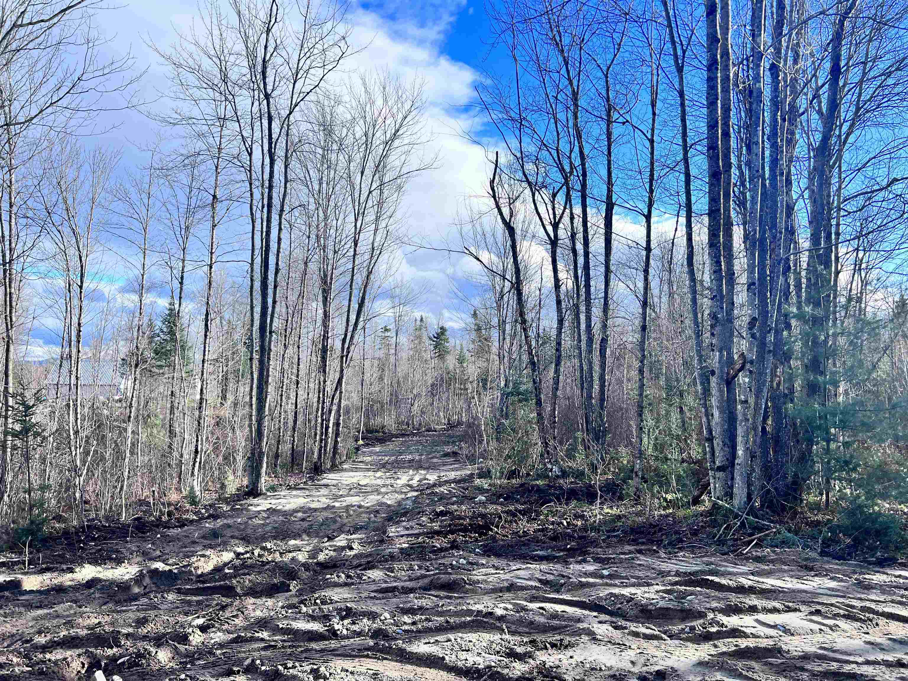 Lot 3 Steiss Road Milan, NH 03588 - Photo 10 of 10