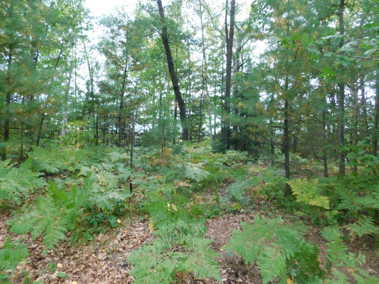 Lot 46 Ross Road Tomahawk, WI 54487 - Photo 7 of 7 Gallery Image 7