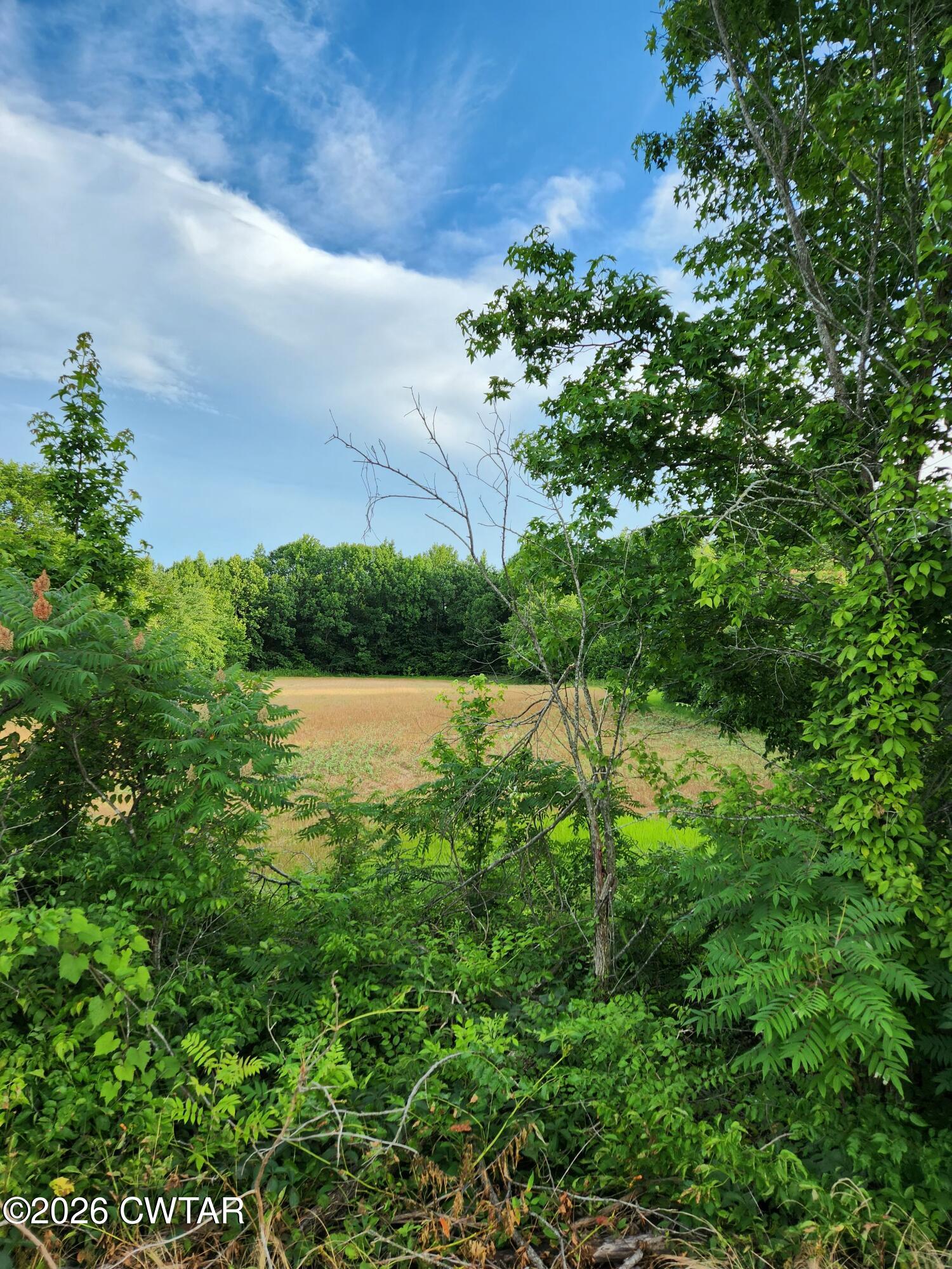 0 Friendship Road Brownsville, TN 38012 - Photo 1 of 1 Friendship Road Lot