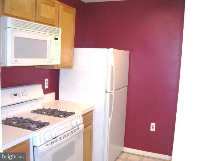 21014 Timber Ridge Terrace, Unit 203 Ashburn, VA 20147 - Photo 2 of 14 Kitchen