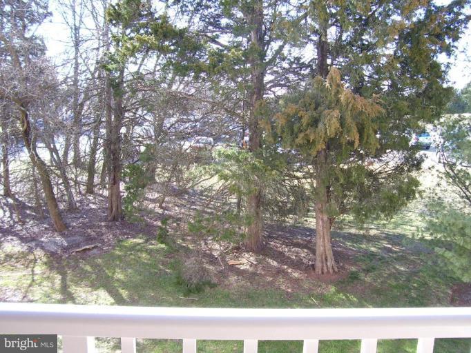 21014 Timber Ridge Terrace, Unit 203 Ashburn, VA 20147 - Photo 5 of 14 View from Unit