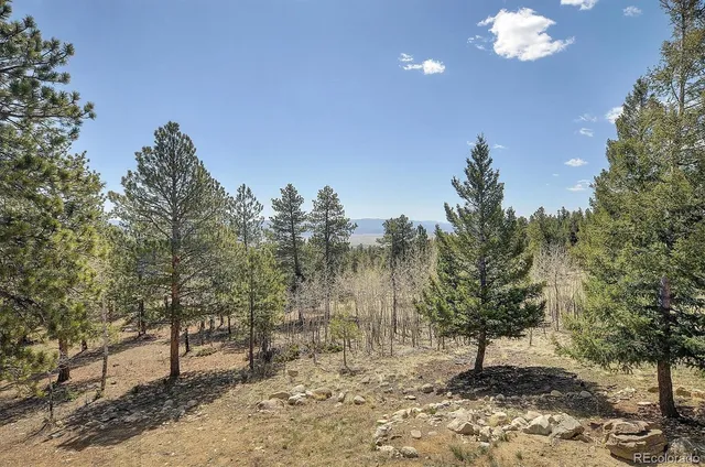$1,449,000 | 30220 Columbia Point, Buena Vista, CO 81211