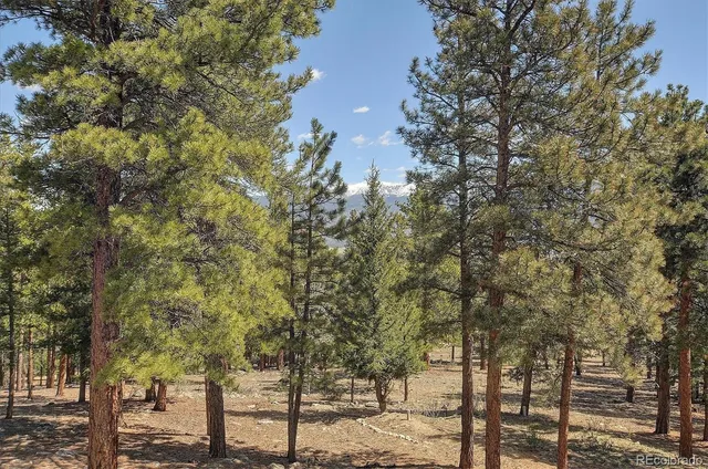 $1,449,000 | 30220 Columbia Point, Buena Vista, CO 81211