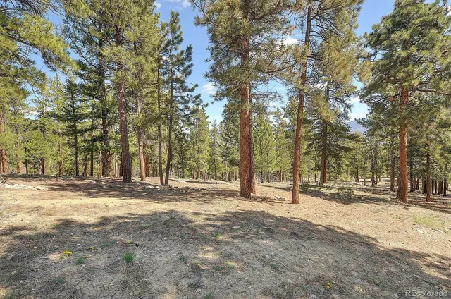 $1,449,000 | 30220 Columbia Point, Buena Vista, CO 81211